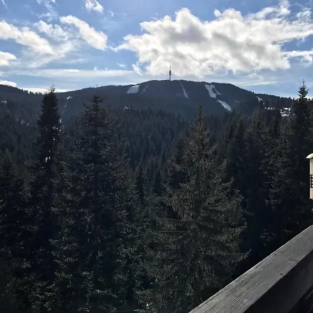 Nice Hotel 2* Pamporovo